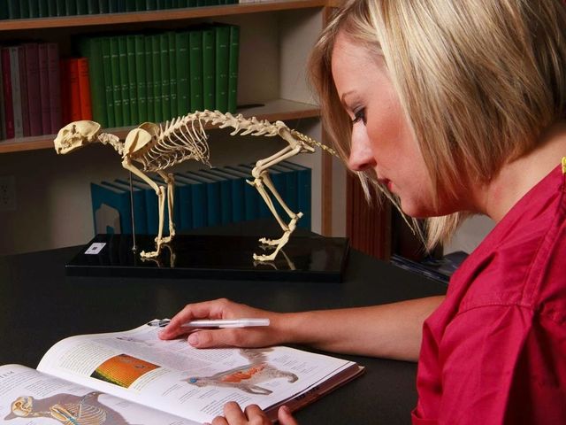 Photo of Bel-Rea Institute of Animal Technology