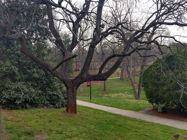 Photo of Belmont Abbey College