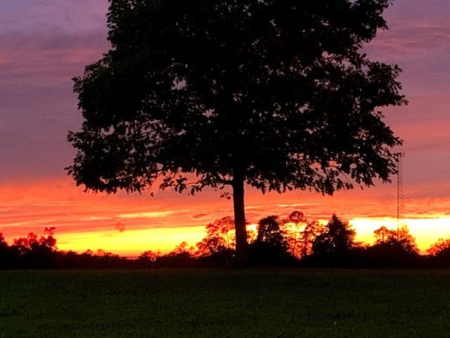 Photo of Belmont College