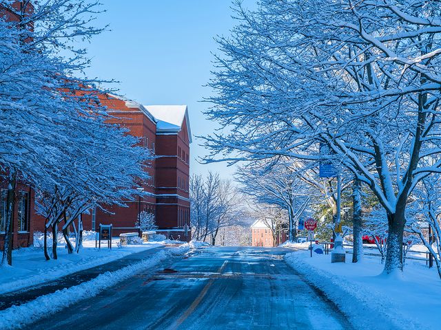 Photo of Bentley University
