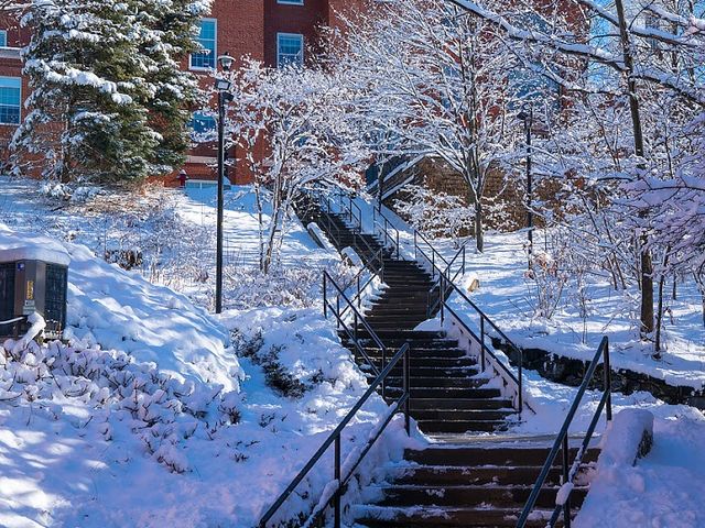 Photo of Bentley University
