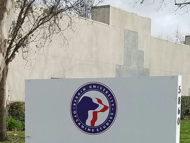 Photo of Bergin University of Canine Studies