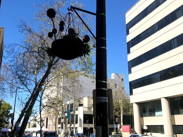 Photo of Berkeley City College