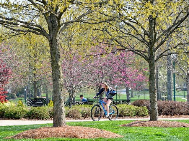 Photo of Berry College