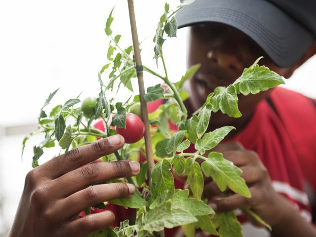 Photo of Bidwell Training Center Inc