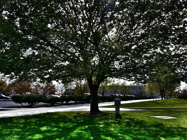 Photo of Big Bend Community College