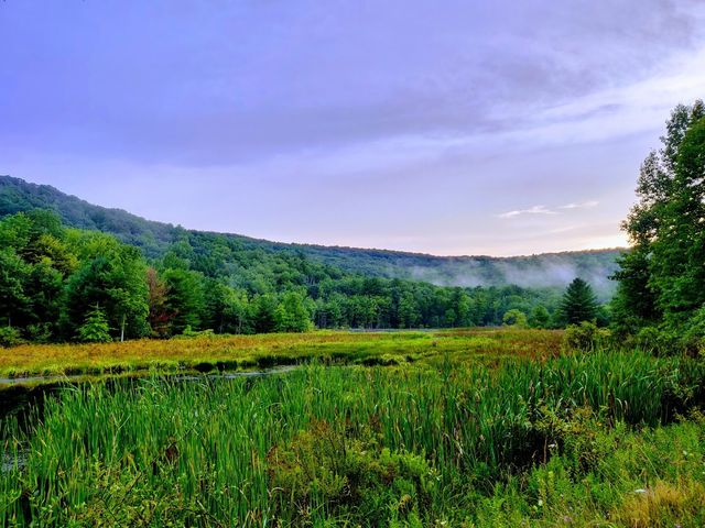 Photo of Binghamton University