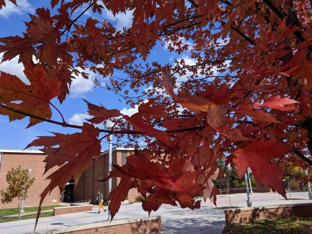 Photo of Binghamton University