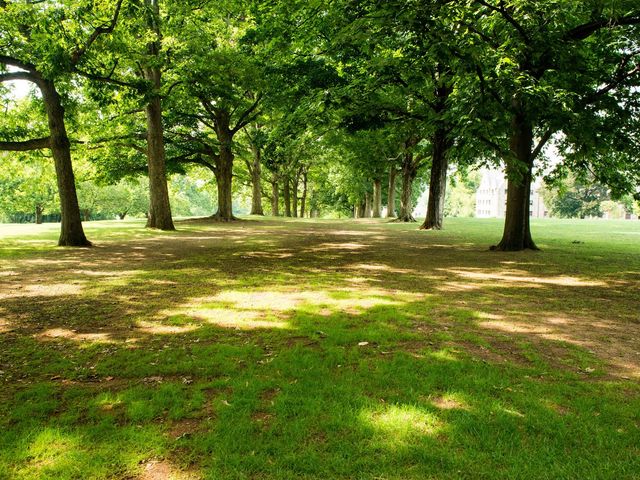 Photo of Bryn Mawr College