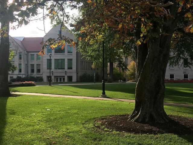 Photo of Bradley University