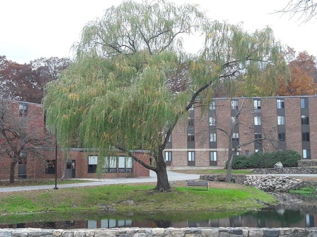 Photo of Brandeis University