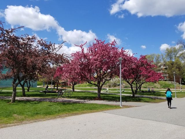 Photo of Brandeis University