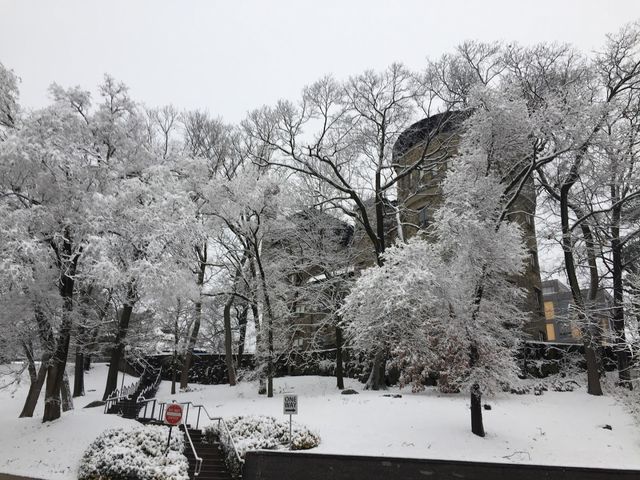 Photo of Brandeis University