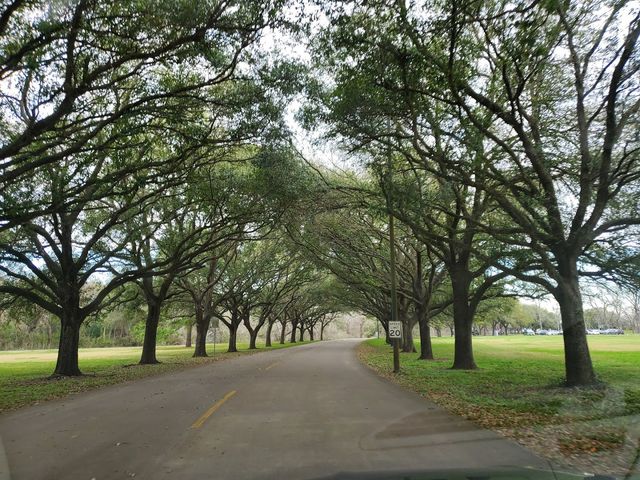 Photo of Brazosport College