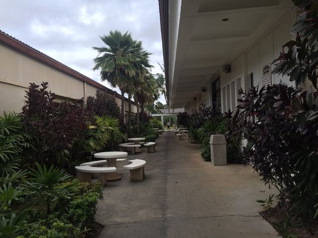 Photo of Brigham Young University-Hawaii