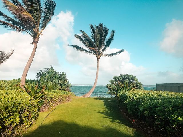 Photo of Brigham Young University-Hawaii
