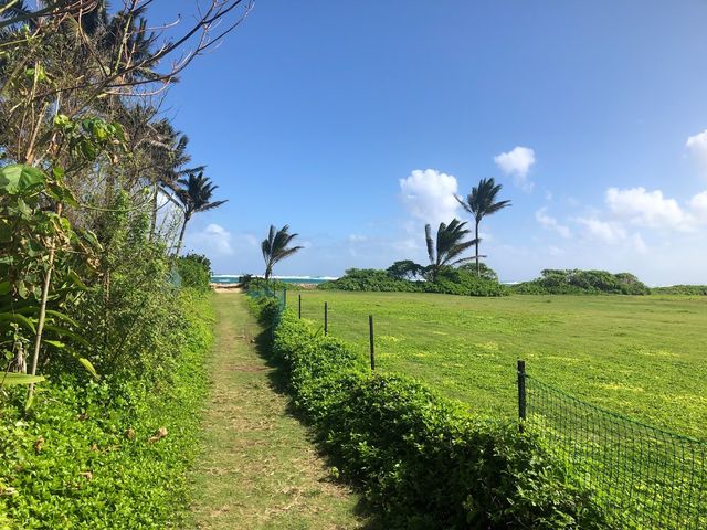Photo of Brigham Young University-Hawaii