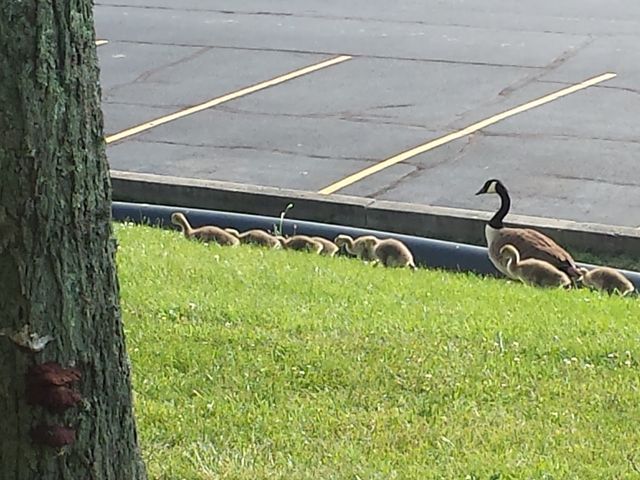 Photo of BridgeValley Community & Technical College
