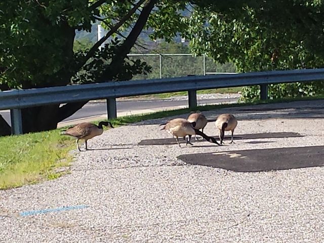 Photo of BridgeValley Community & Technical College