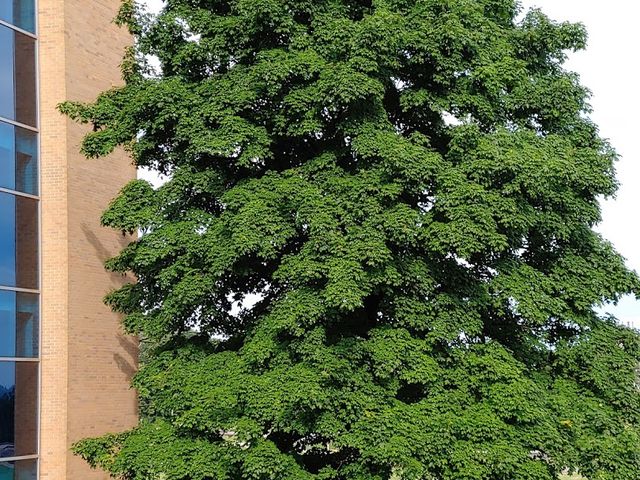 Photo of BridgeValley Community & Technical College