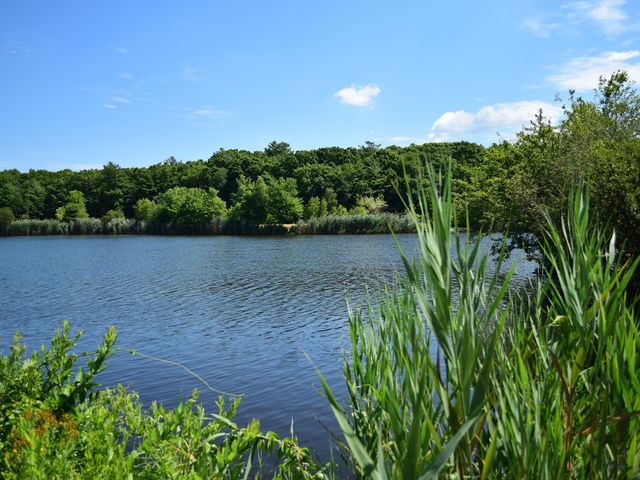 Photo of Bristol Community College