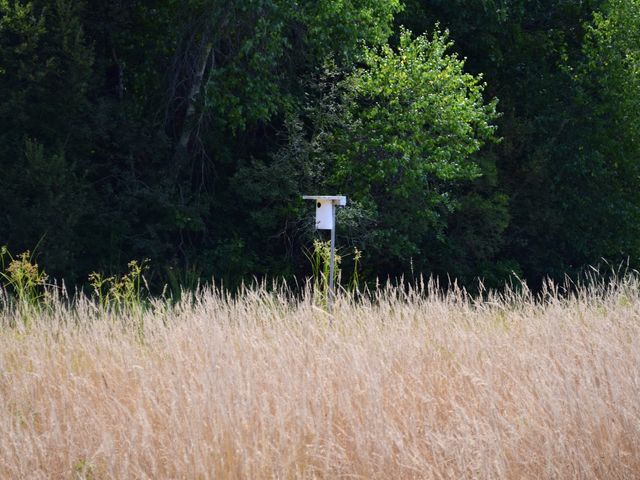 Photo of Bristol Community College