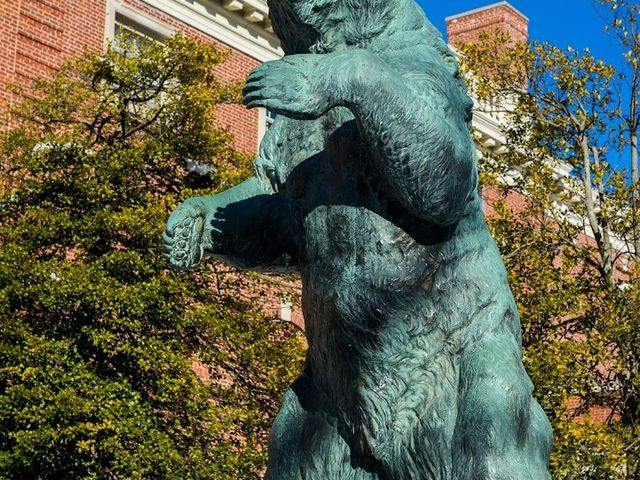 Photo of Brown University