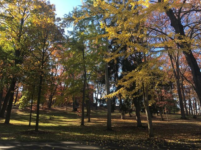 Photo of Bucknell University