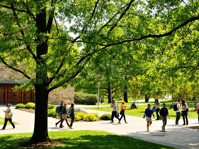 Photo of Goucher College