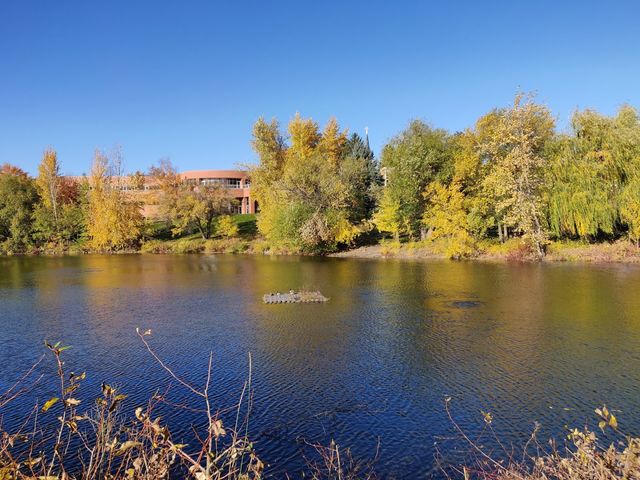 Photo of Gonzaga University