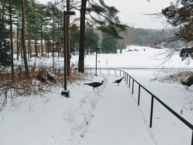 Photo of Gordon-Conwell Theological Seminary