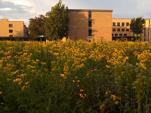 Photo of Goshen College