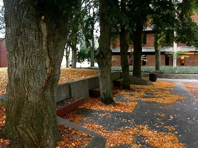 Photo of Goshen College