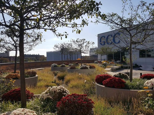 Photo of Gateway Community College