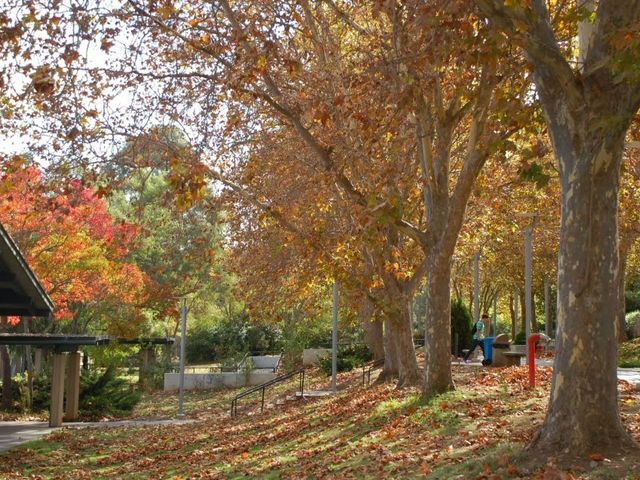 Photo of Gavilan College
