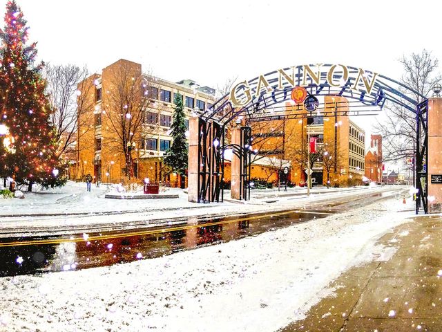 Photo of Gannon University