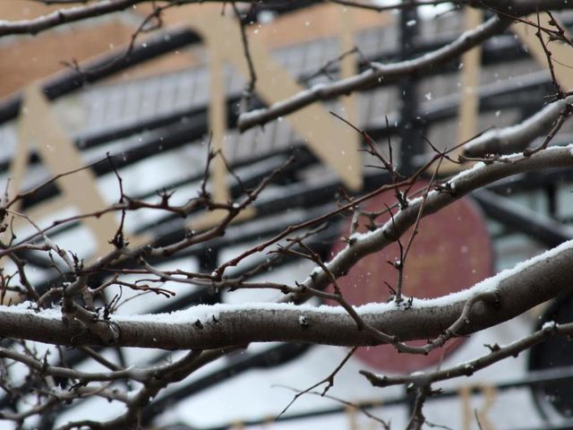 Photo of Gannon University