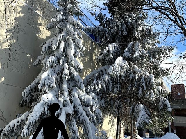 Photo of Gannon University