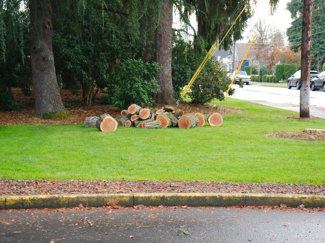 Photo of George Fox University