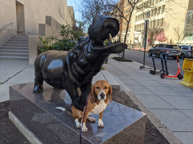 Photo of George Washington University