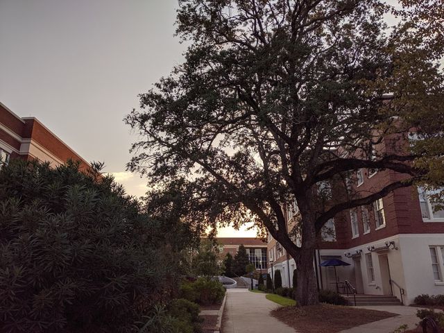 Photo of Georgia College & State University