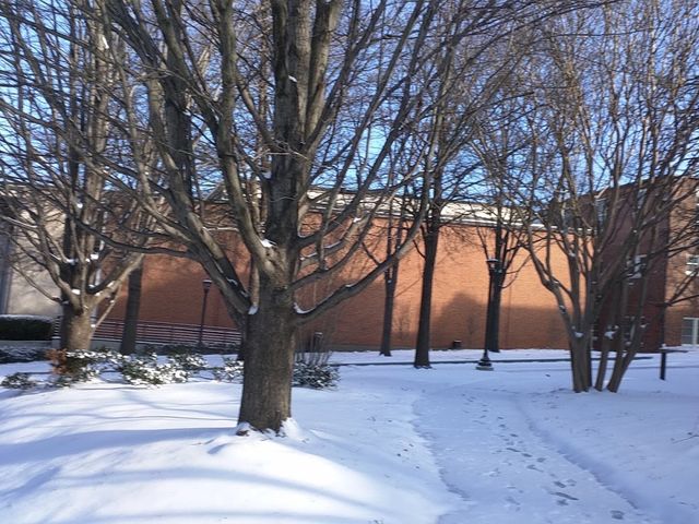 Photo of Georgia Institute of Technology-Main Campus