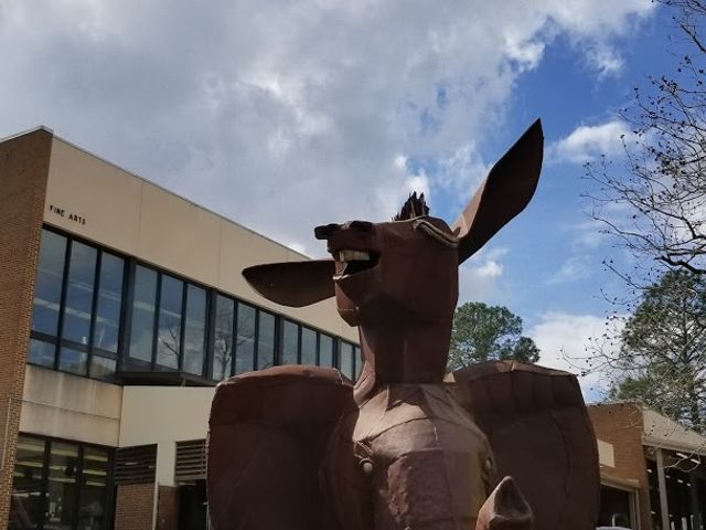 Photo of Georgia Southwestern State University