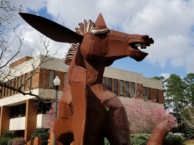 Photo of Georgia Southwestern State University