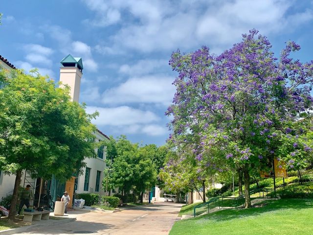 Photo of Glendale Community College