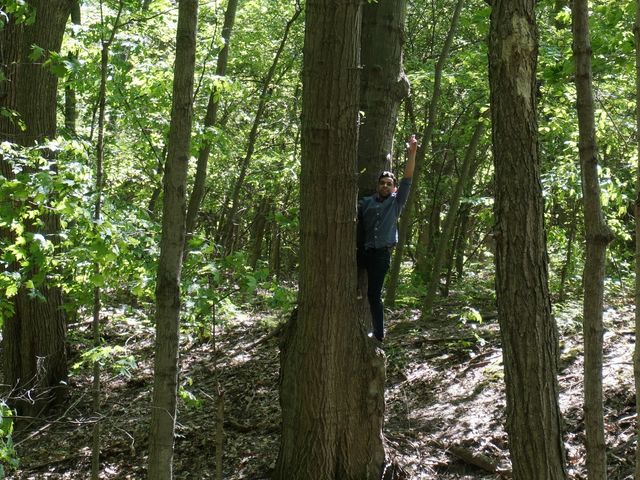 Photo of Grand Valley State University