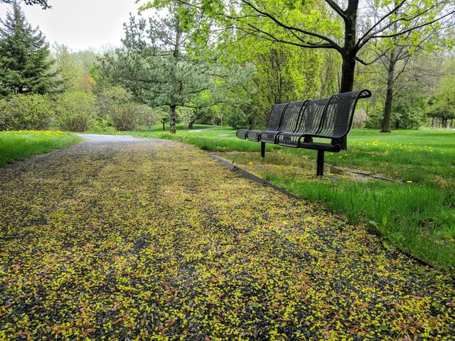 Photo of Grand Valley State University