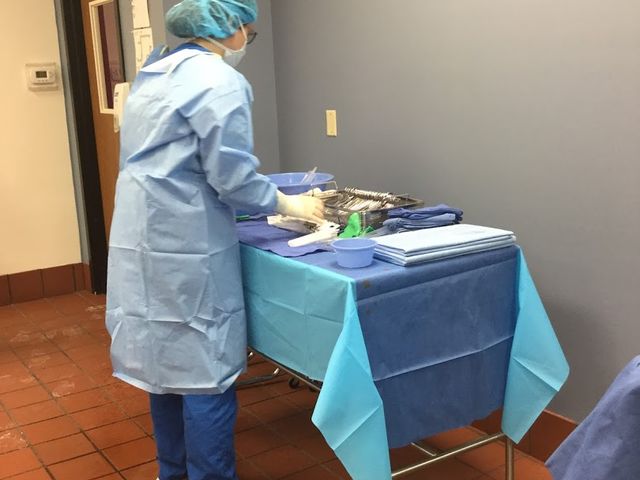 Photo of Great Lakes Institute of Technology