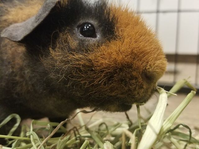 Photo of Great Lakes Institute of Technology