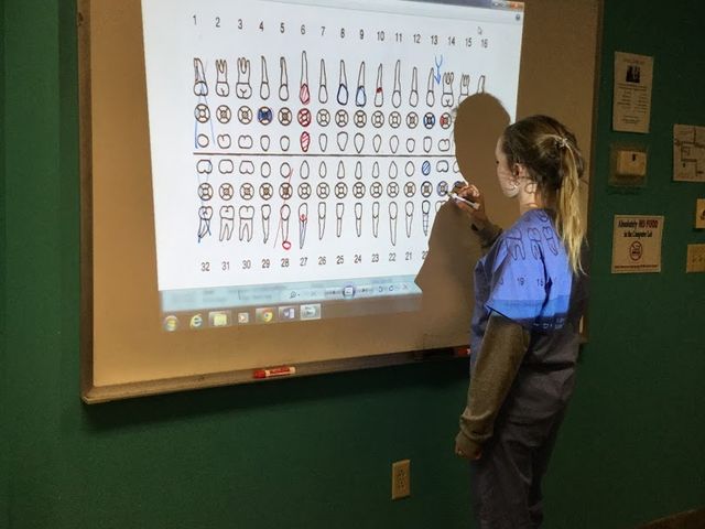 Photo of Great Lakes Institute of Technology